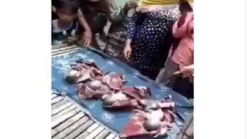 Ibu Lahirkan 4 Bayi Kembar Sendirian di Bangkalan, Netizen: Apa Ga Ada Bidan di Sana?
