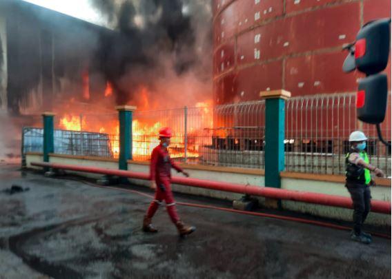 Kebakaran di Pelabuhan Teluk Bayur, Pelindo: Itu Tumpukan Batu Bara