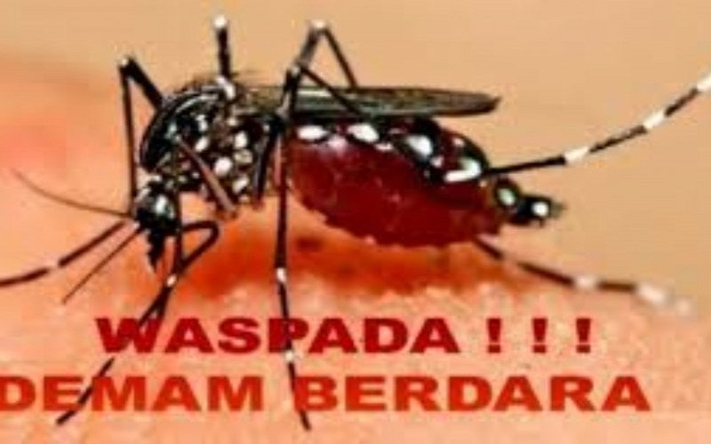 Jawa Barat Peringkat Pertama Jumlah Kasus DBD pada 2021 di Indonesia