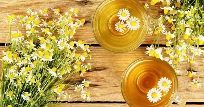 Manfaat Teh Chamomile untuk Kesehatan, Bisa Bantu Tidur Lebih Nyenyak