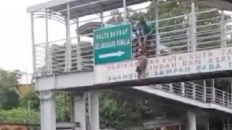 Menegangkan, Pengemudi Ojol dan Petugas Transjakarta Cegah Perempuan Hamil Lompat dari Jembatan