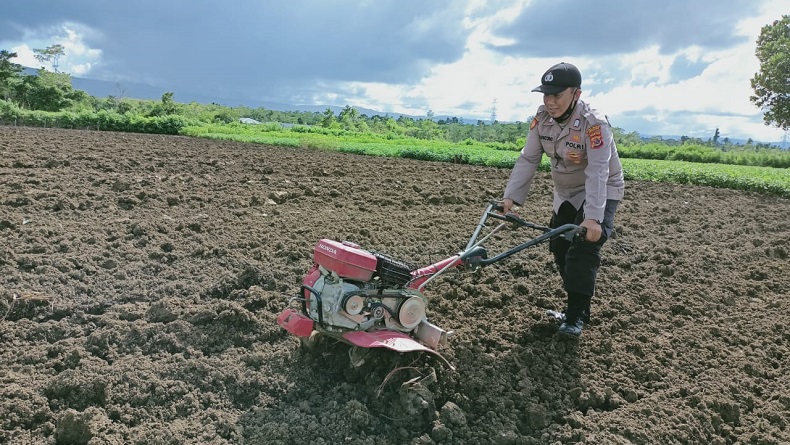 Wah, Tanaman Mahal Ini Akan Dibudidayakan di Jayapura
