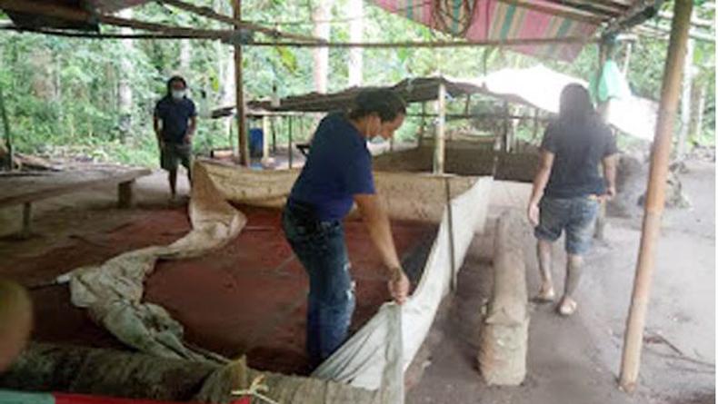 Ayam Jantan Ini Bunuh Majikan saat Akan Diadu di Arena Judi