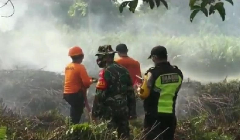 Lahan Gambut di Pontianak Terbakar, Warga dan Petugas Berjibaku Padamkan Api