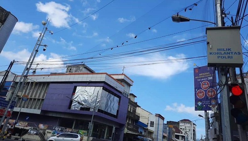 Viral, Burung-Burung Dijebak Jaring dan Dibiarkan Mati di Bawah Terik Matahari
