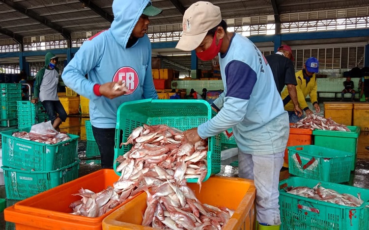 Cuaca Ekstrem, Stok Ikan di Kalsel Masih Aman