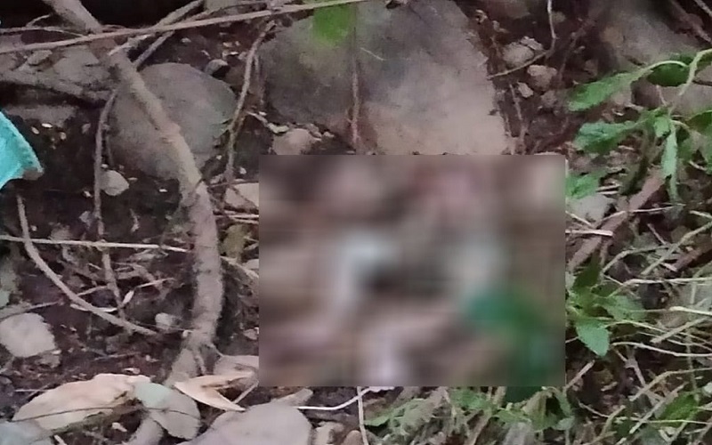 Penemuan Mayat Bayi Tak Utuh Gegerkan Warga Lombok Barat