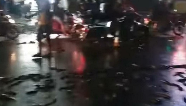 Truk Bermuatan Lele Terguling di Serpong, Warga Ramai-Ramai Menyerbu