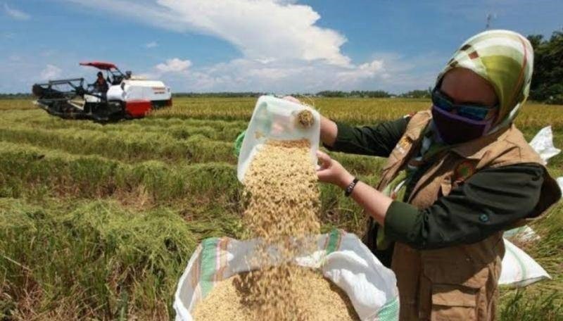 Pemprov Kalsel Siapkan Milenial Jadi Wirausaha Sektor Pertanian