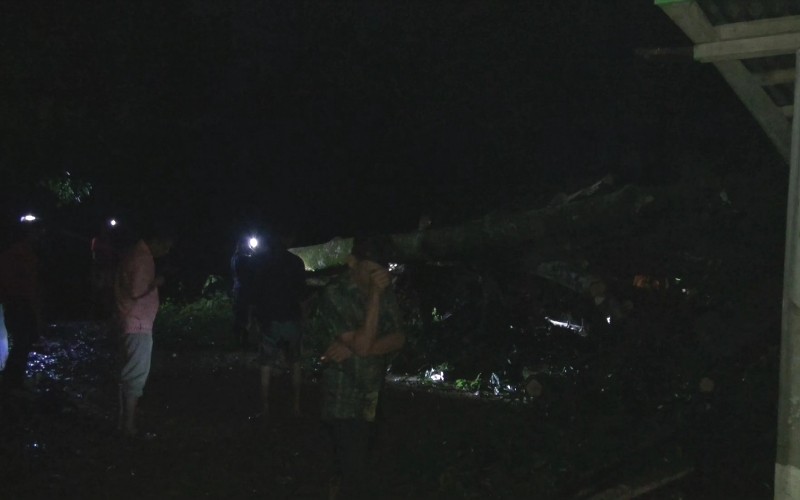 Puting Beliung Rusak Rumah di Empat Lawang, Warga Ditimpa Pohon saat Sholat