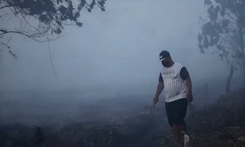 Sekeluarga di Pontianak Ngungsi akibat Karhutla, Api Makin Dekat ke Permukiman
