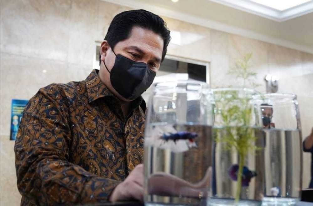 Cerita Cupang dan Semangat Erick Thohir Memulai Bisnis