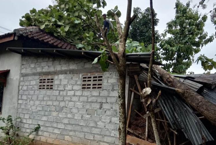 Hujan Deras dan Angin Kencang Landa Gunungkidul, Pohon Tumbang Timpa Rumah Warga