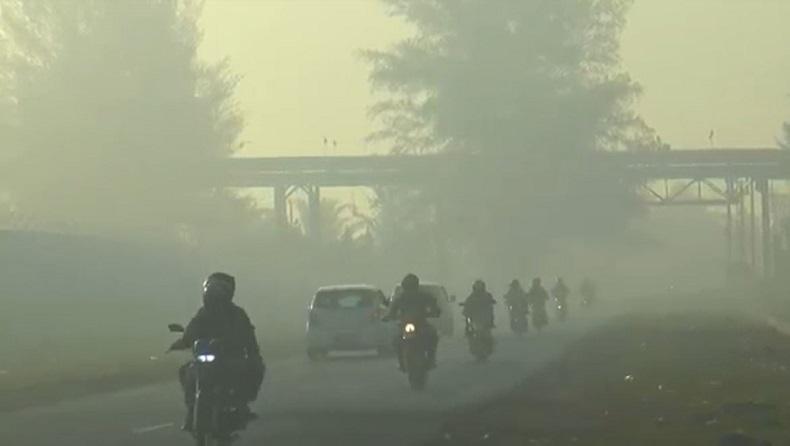 10 Hektare Lahan Terbakar di Nagan Raya, Asap Ganggu Warga dan Lalu Lintas