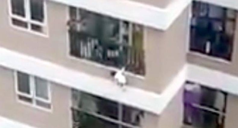 Ajaib! Balita Usia 2 Bulan Selamat Usai Jatuh dari Lantai 12 Apartemen