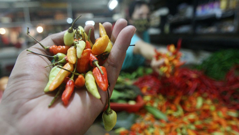 Harga Cabai Rawit di Belitung Melonjak, Capai Rp150.000 per Kilogram