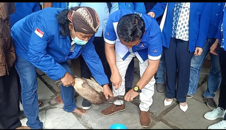 7 Pengurus DPP Dipecat, DPC Partai Demokrat Sragen Gelar Aksi Potong Bebek