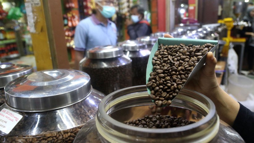 Wow Keren, Kopi Arabika asal Subang Diminati hingga Arab Saudi dan Mesir