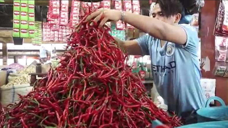 Jelang Ramadan, Harga Cabai di Solok Selatan Naik Jadi Rp50.000 per Kg