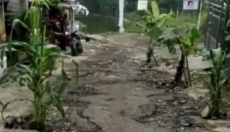Unggah Foto Jalan Rusak Ditanami Pohon Pisang di Sukabumi, Guru Ini Dimaki Aparat Desa 
