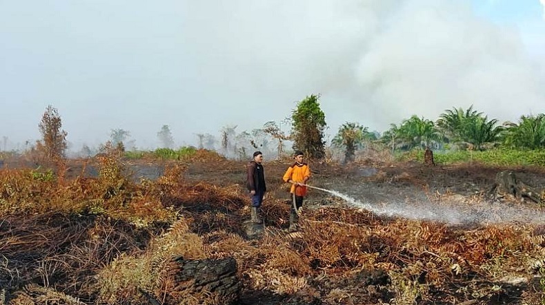    Luas Lahan Terbakar di Aceh Barat Mencapai 6 Ha