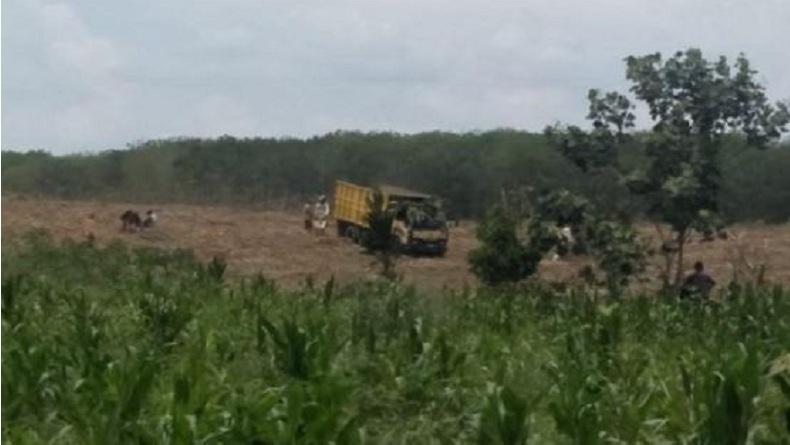 Oknum Pejabat Diduga Sewakan Lahan Aset Milik Pemkab Simalungun Seluas 200 Hektare