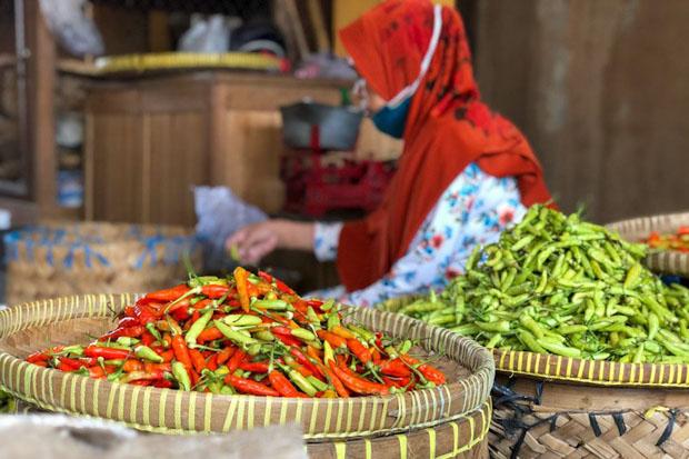 Pedagang Sayuran di Pasar Tradisional DIY Didorong Berjualan Secara Online
