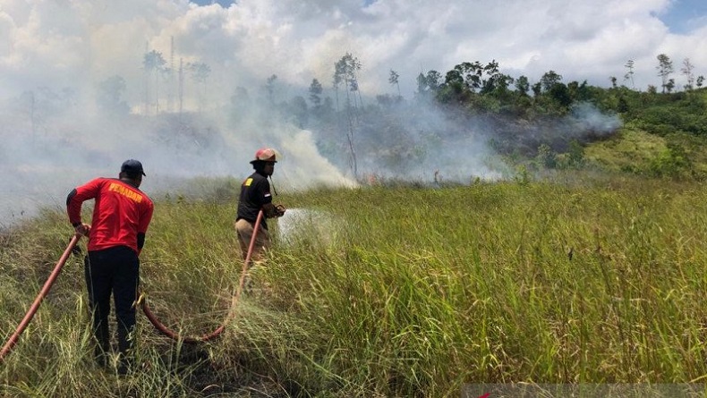 3 Hektare Lahan di Lembah Seulawah Kabupaten Aceh Besar Terbakar