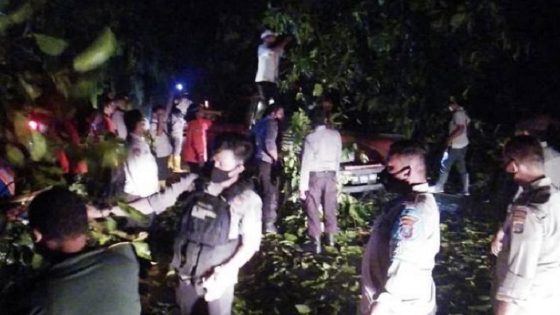 8 Titik Longsor di Jalinsum Sibolga-Tarutung, 1 Mobil Ringsek Tertimpa Pohon Tumbang