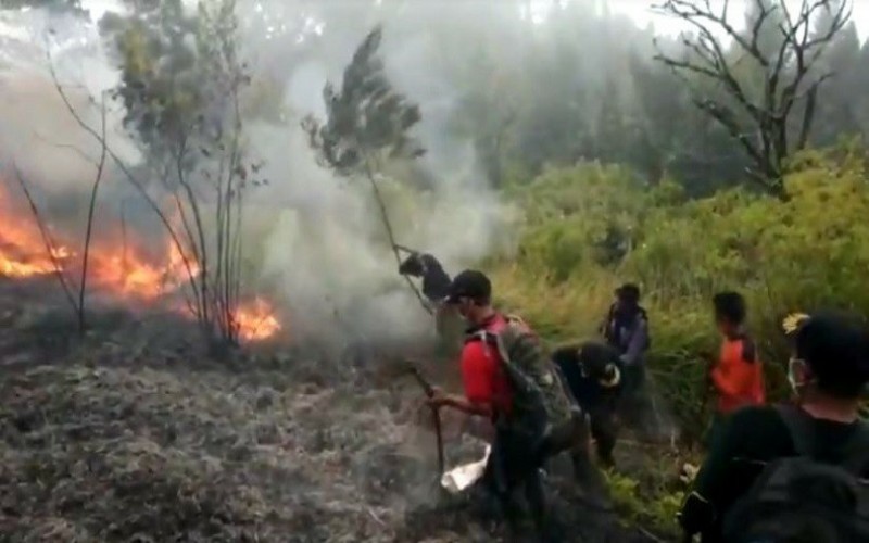 6 Daerah di Sumsel Prioritas Pencegahan Karbutla, 9000 Personel Disiagakan