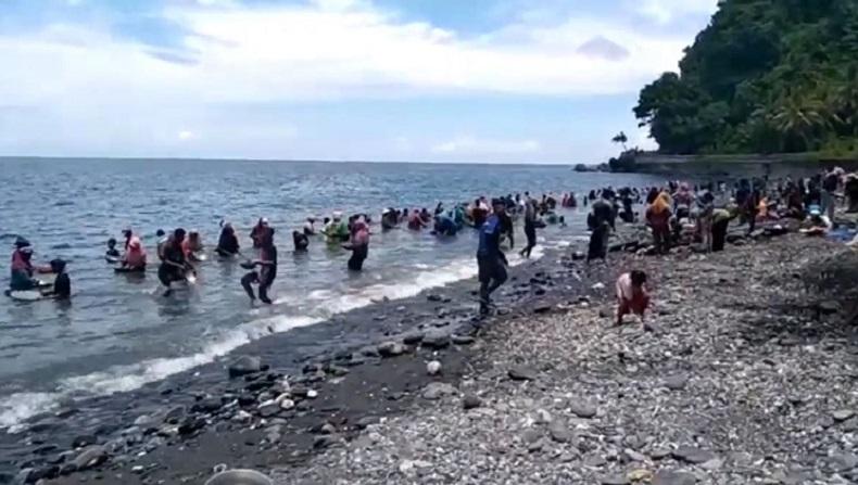 Masih Ramai, Ratusan Warga Mendulang Emas di Pantai Pohon Batu Malteng