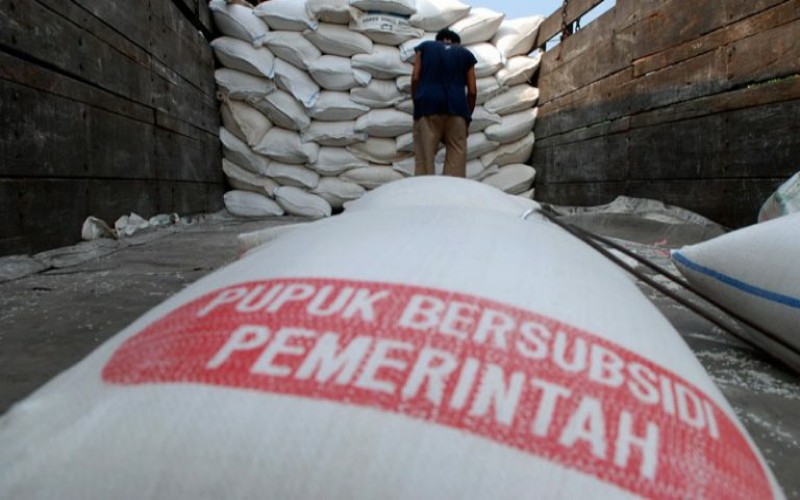 Petani di Sumsel Tak Masalahkan Subsidi Pupuk Dihapus, Simak Alasannya