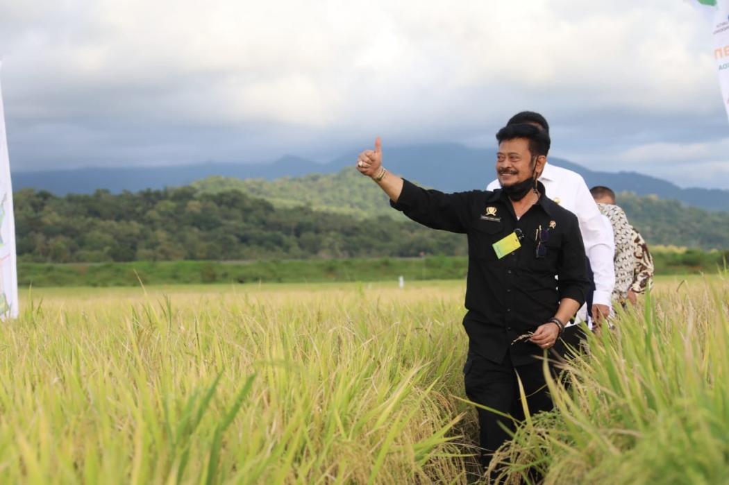 Mentan Sebut Panen Raya Nasional Sudah Mulai Bertahap