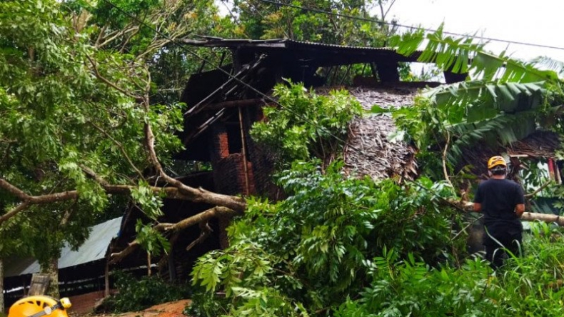 4 Rumah di Agam Rusak Akibat Tertimpa Pohon Tumbang