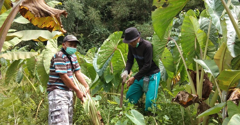 Konsep Konservasi Air hingga Pelestarian Flora Fauna Mulai Diterapkan di Desa-Desa