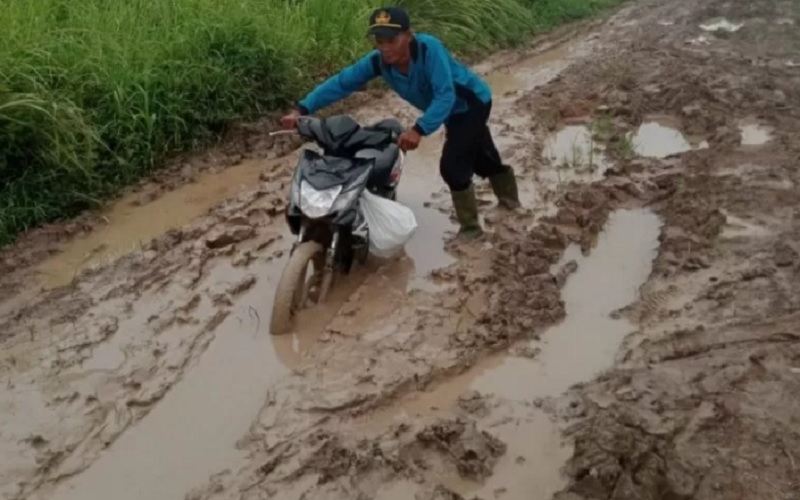 Duh! Jalan Desa di Mesuji Rusak Parah, Becek dan Berlumpur