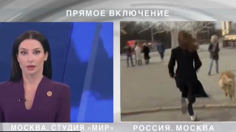 Kocak, Anjing Rebut Mikrofon Penyiar Televisi saat Siaran Langsung