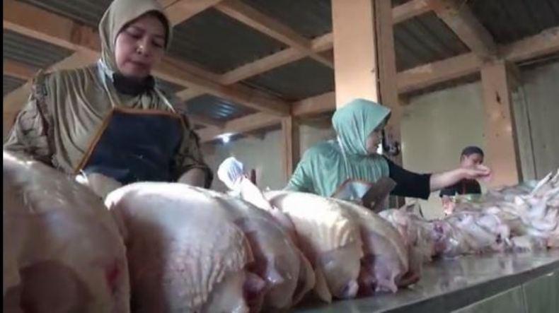 Harga Daging Ayam dan Sapi di Boyolali Meroket Jelang Ramadan 
