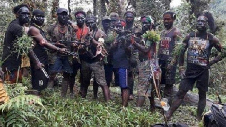 Separatis di Papua Terus Berulah, Tembak Mati Guru dan Bakar 3 Sekolah