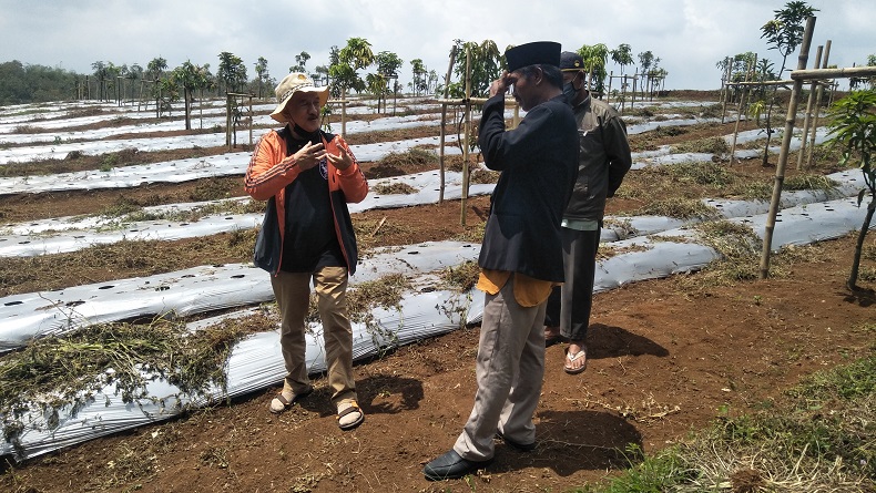 Banyak Lahan Subur, Warga Cikalongwetan KBB Diajak Kembangkan Agro Bisnis Pertanian