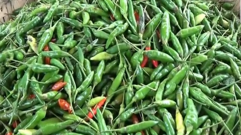 Harga Cabai di Majalengka Semakin Pedas Gegara Cuaca Ekstrem