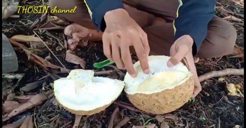 Legitnya Durian Gundul Khas Lombok, Unik Tanpa Duri dan Bikin Ketagihan