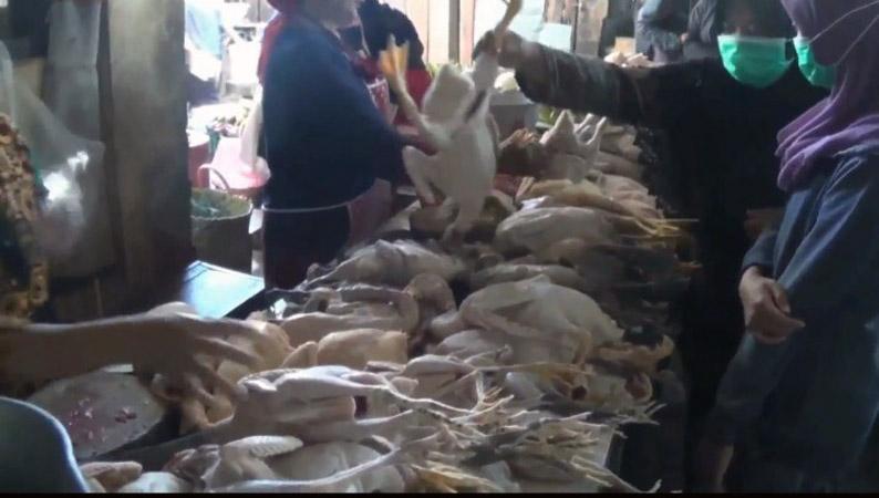 Harga Daging Ayam Kampung di Pasar Kendal Tembus Rp80.000 per Kilogram