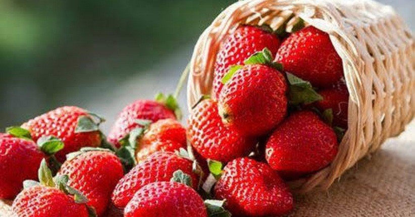 3 Buah-buahan Ini Bisa Bikin Kulit Glowing, Yuk Konsumsi secara Rutin  