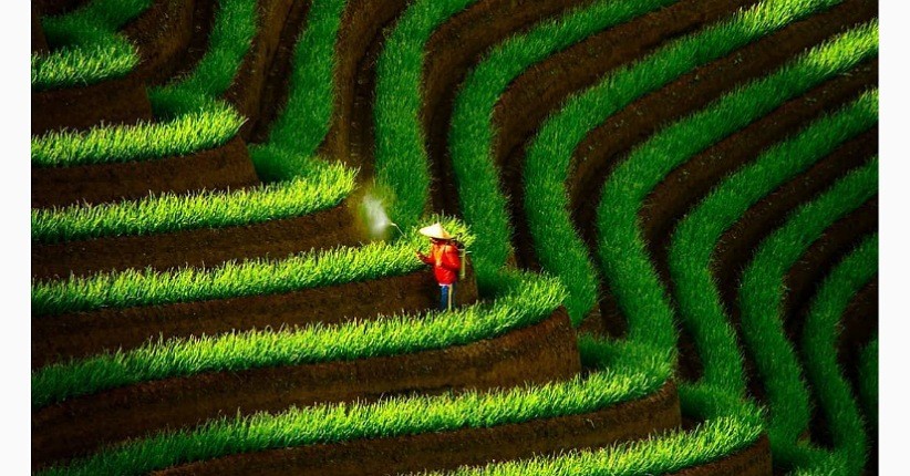 Pesona Terasering Panyaweuyan Majalengka, Pemandangan Sawahnya Cantik Berundak-undak  