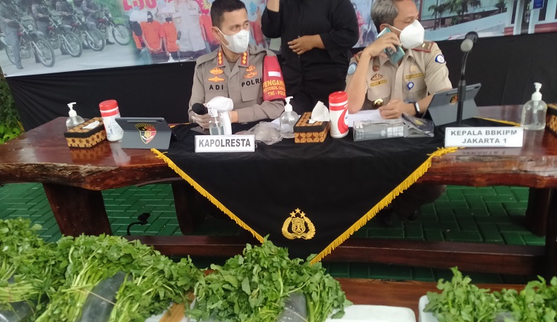 Polisi Gagalkan Penyelundupan 72.288 Benih Lobster, Disembunyikan dalam Sayuran