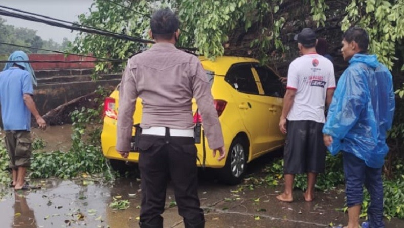 Hujan Deras, Pohon Besar Tumbang Timpa Mobil dan Kabel Listrik di Pamulang