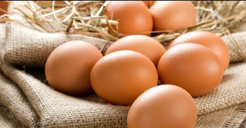 Telur Ayam Tanpa Kandang Sekat Lagi Tren, Ternyata Lebih Berkualitas