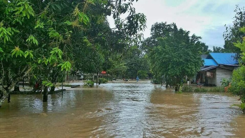Sungai Satui dan Haruyan di Kalsel Meluap, Ratusan Rumah Terendam Banjir
