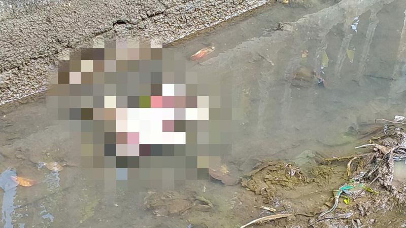 Warga Ciracas Geger, Mayat Bayi Perempuan Ditemukan di Pinggir Kali